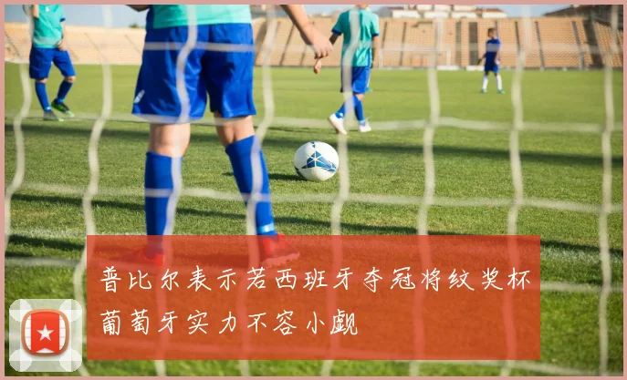 普比尔表示若西班牙夺冠将纹奖杯葡萄牙实力不容小觑
